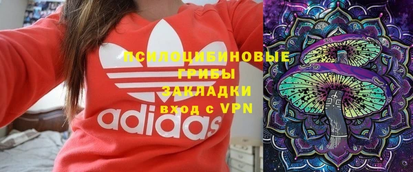 сатива Алзамай