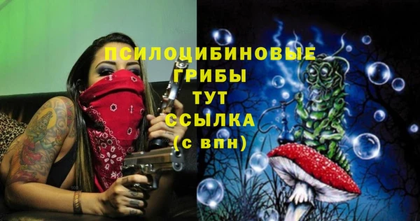 Альфа ПВП Алексин