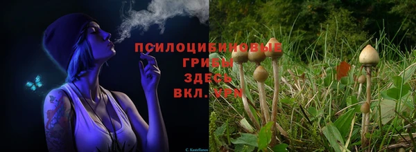 каннабис Арсеньев