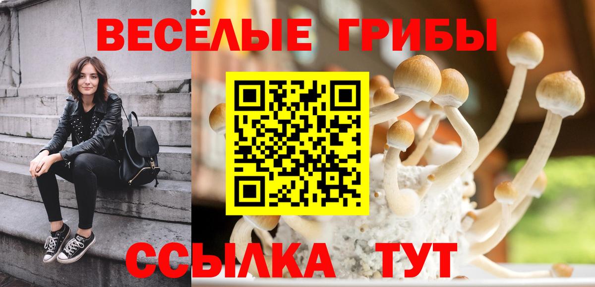Псилоцибиновые грибы мицелий Курганинск