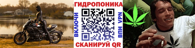 ОМГ ОМГ ССЫЛКА  что такое наркотик  Курганинск  Марихуана ГИДРОПОН 